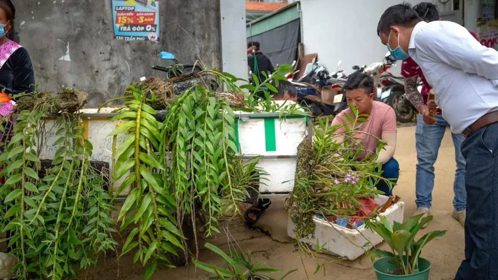 Community examining plants at street market, illustrating how to improve customer retention.