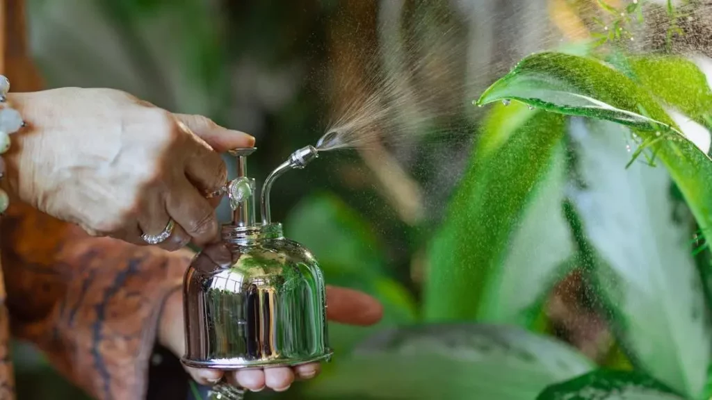 Sprayer misting green indoor plants, illustrating customer retention through care and attention.